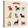 Dogs Vector Set of Icons and Illustrations-Marish-Stretched Canvas