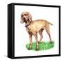 Dogs - Wiemeraner-Wendy Edelson-Framed Stretched Canvas