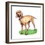 Dogs - Wiemeraner-Wendy Edelson-Framed Giclee Print