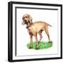 Dogs - Wiemeraner-Wendy Edelson-Framed Giclee Print