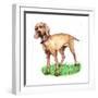 Dogs - Wiemeraner-Wendy Edelson-Framed Giclee Print