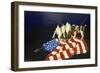 Dogs with American Flag-Eduardo Camoes-Framed Giclee Print