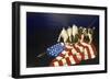 Dogs with American Flag-Eduardo Camoes-Framed Giclee Print