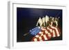 Dogs with American Flag-Eduardo Camoes-Framed Giclee Print