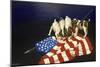 Dogs with American Flag-Eduardo Camoes-Mounted Giclee Print