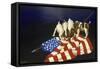 Dogs with American Flag-Eduardo Camoes-Framed Stretched Canvas