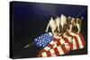 Dogs with American Flag-Eduardo Camoes-Stretched Canvas