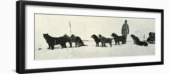 'Dogs with Stores About to Leave Hut Point', c1911, (1913)-Herbert Ponting-Framed Photographic Print