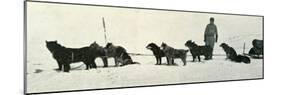 'Dogs with Stores About to Leave Hut Point', c1911, (1913)-Herbert Ponting-Mounted Photographic Print