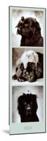 Dogs-null-Mounted Poster