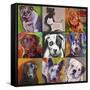 Dogs-Howie Green-Framed Stretched Canvas