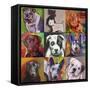 Dogs-Howie Green-Framed Stretched Canvas