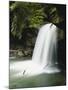 Dogslaughter Falls in Spring, Daniel Boone National Forest, Kentucky, USA-Adam Jones-Mounted Photographic Print