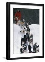 Dogsled Scene-Lantern Press-Framed Art Print