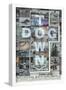 Dogtown and Z-Boys-null-Framed Poster
