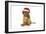 Dogue De Bordeaux-null-Framed Photographic Print