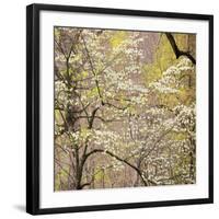 Dogwood 2-Ken Bremer-Framed Giclee Print