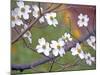 Dogwood 3-Ken Bremer-Mounted Giclee Print