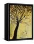 Dogwood at Dusk I-Kari Taylor-Framed Stretched Canvas