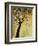 Dogwood at Dusk I-Kari Taylor-Framed Giclee Print