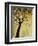 Dogwood at Dusk I-Kari Taylor-Framed Premium Giclee Print