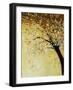 Dogwood at Dusk II-Kari Taylor-Framed Giclee Print