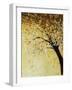 Dogwood at Dusk II-Kari Taylor-Framed Giclee Print