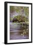 Dogwood Blooms by Pohono Bridge, Yosemite-Vincent James-Framed Premium Photographic Print