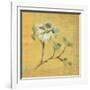 Dogwood Blossom on Gold-Cheri Blum-Framed Art Print