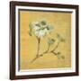 Dogwood Blossom on Gold-Cheri Blum-Framed Art Print