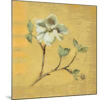 Dogwood Blossom on Gold-Cheri Blum-Mounted Art Print