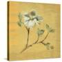 Dogwood Blossom on Gold-Cheri Blum-Stretched Canvas