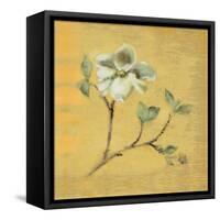 Dogwood Blossom on Gold-Cheri Blum-Framed Stretched Canvas