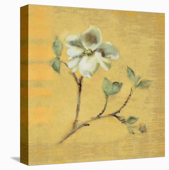 Dogwood Blossom on Gold-Cheri Blum-Stretched Canvas