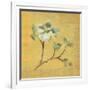 Dogwood Blossom on Gold-Cheri Blum-Framed Art Print