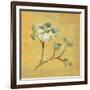 Dogwood Blossom on Gold-Cheri Blum-Framed Art Print