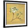 Dogwood Blossom on Gold-Cheri Blum-Framed Art Print