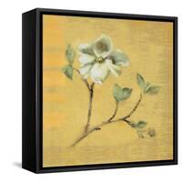 Dogwood Blossom on Gold-Cheri Blum-Framed Stretched Canvas