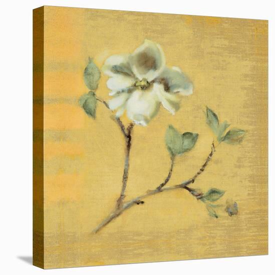 Dogwood Blossom on Gold-Cheri Blum-Stretched Canvas