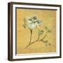 Dogwood Blossom on Gold-Cheri Blum-Framed Art Print