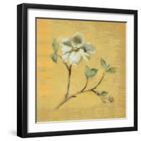 Dogwood Blossom on Gold-Cheri Blum-Framed Art Print