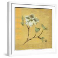 Dogwood Blossom on Gold-Cheri Blum-Framed Art Print