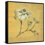 Dogwood Blossom on Gold-Cheri Blum-Framed Stretched Canvas