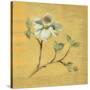 Dogwood Blossom on Gold-Cheri Blum-Stretched Canvas