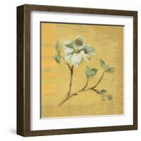 Dogwood Blossom on Gold-Cheri Blum-Framed Art Print