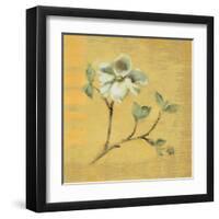 Dogwood Blossom on Gold-Cheri Blum-Framed Art Print