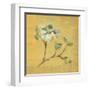 Dogwood Blossom on Gold-Cheri Blum-Framed Art Print