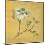 Dogwood Blossom on Gold-Cheri Blum-Mounted Art Print