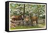 Dogwood Blossoms, Horses-null-Framed Stretched Canvas