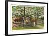 Dogwood Blossoms, Horses-null-Framed Art Print